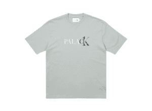 PALACE CK1 T-SHIRT 'WHEAT GREY'