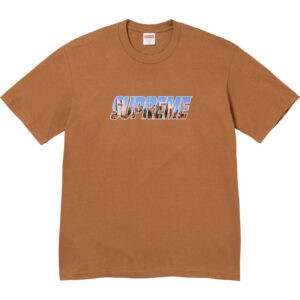 Supreme Gotham Tee 'Brown'